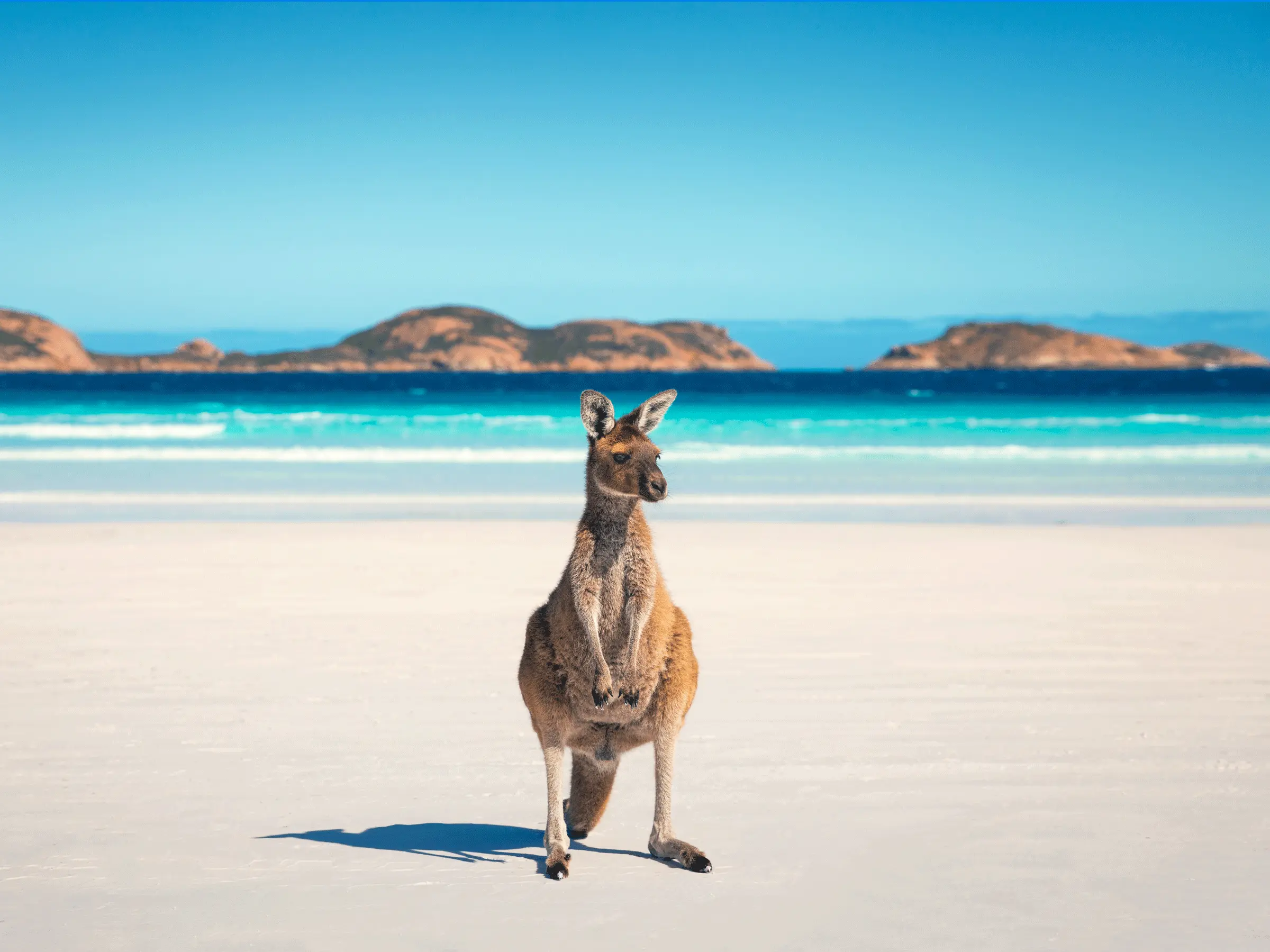 Lucky Bay