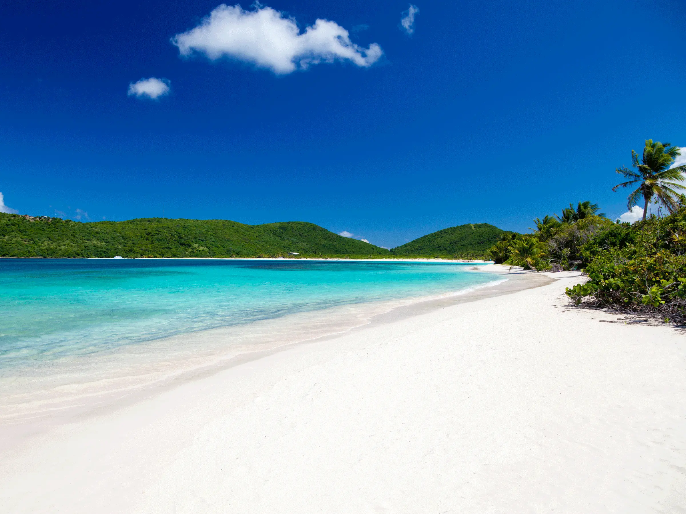 Flamenco Beach