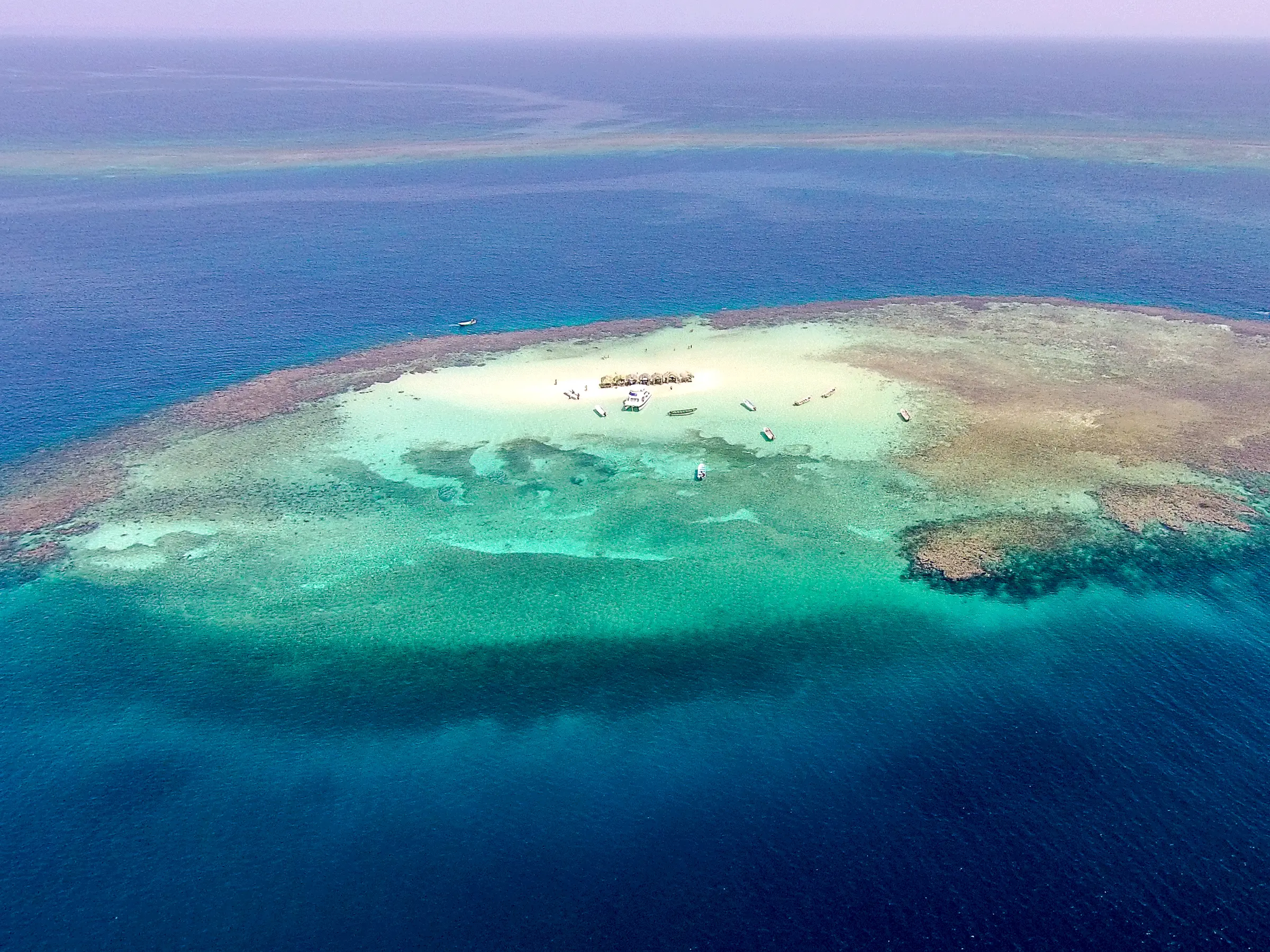Cayo Arena