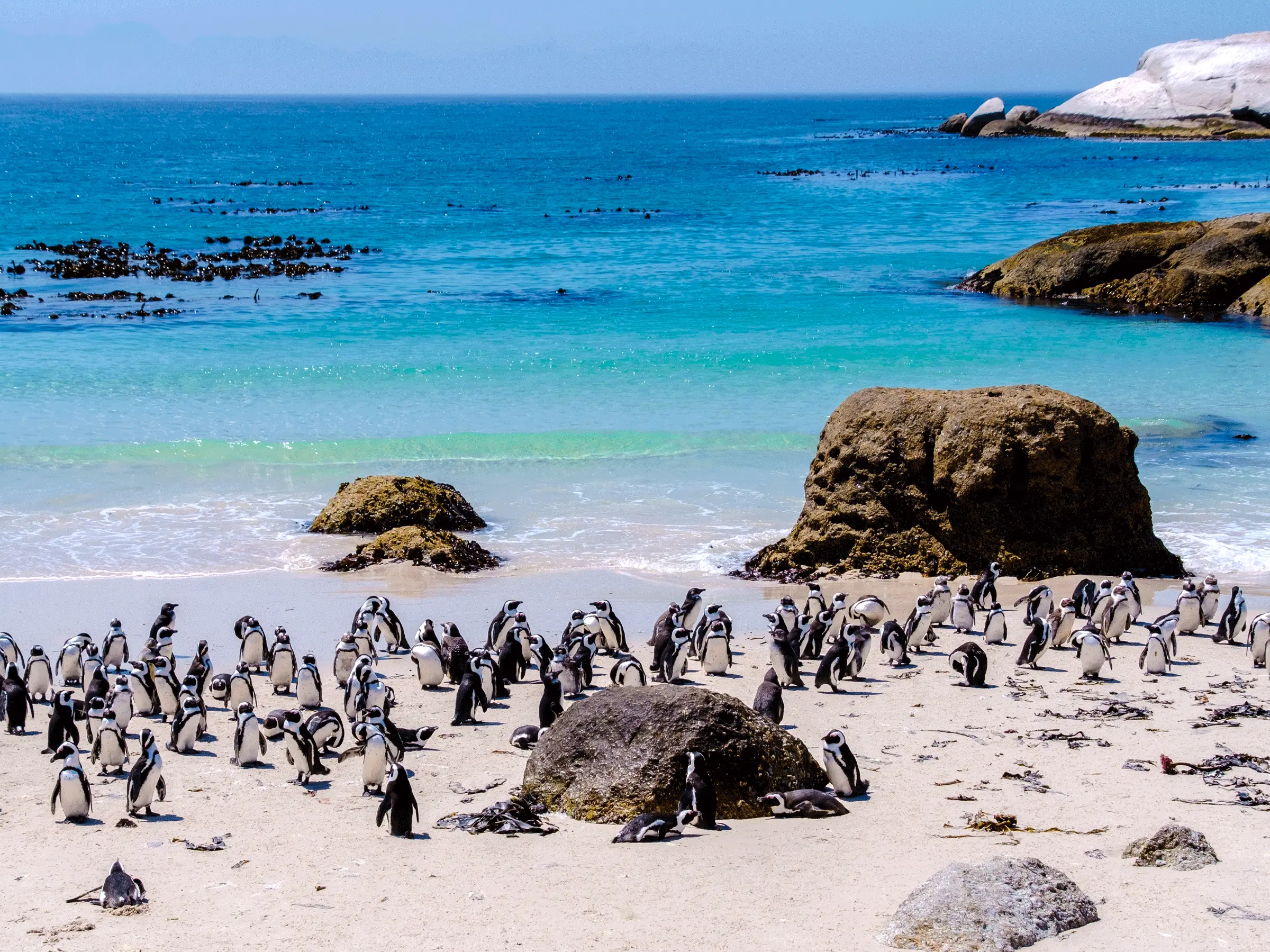 Boulders Beach