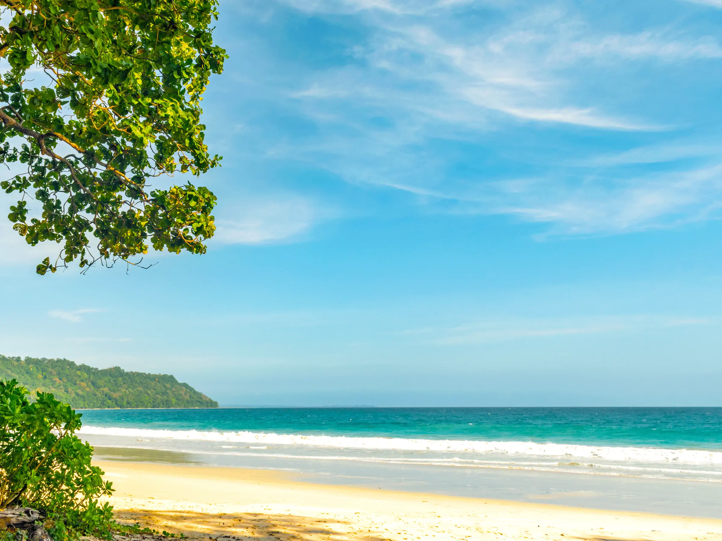 Radhanagar Beach