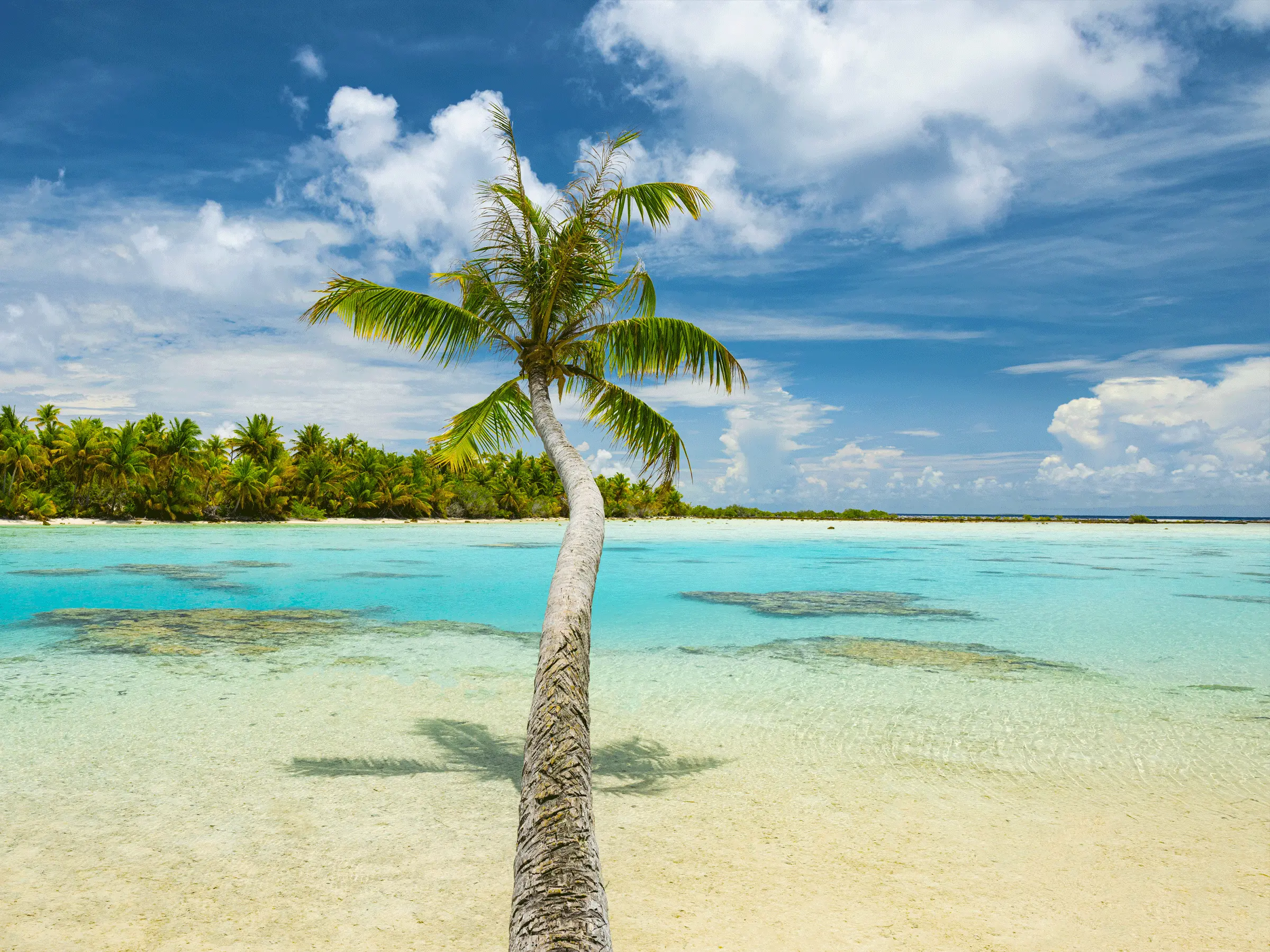Green Lagoon