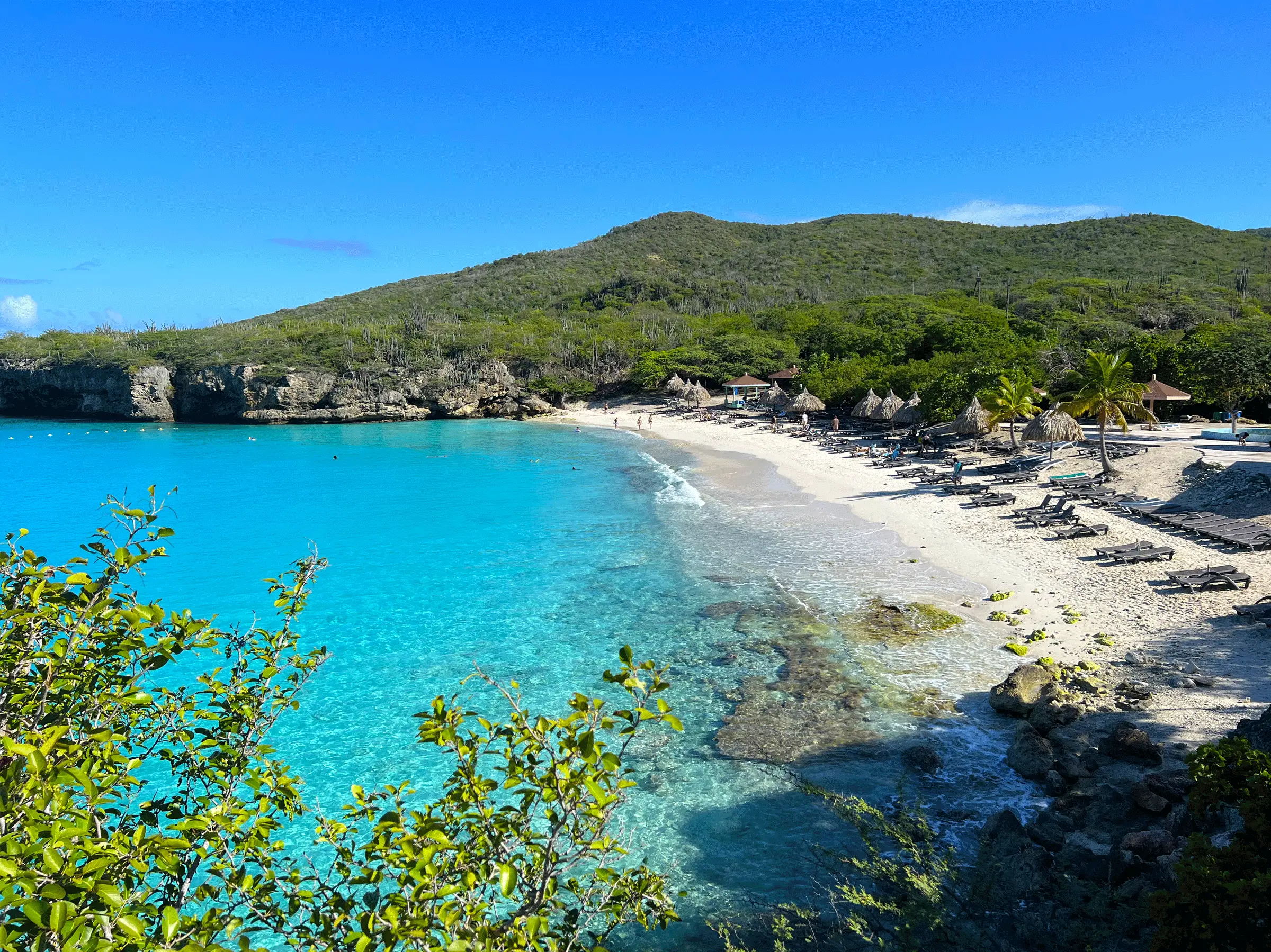 Grote Knip