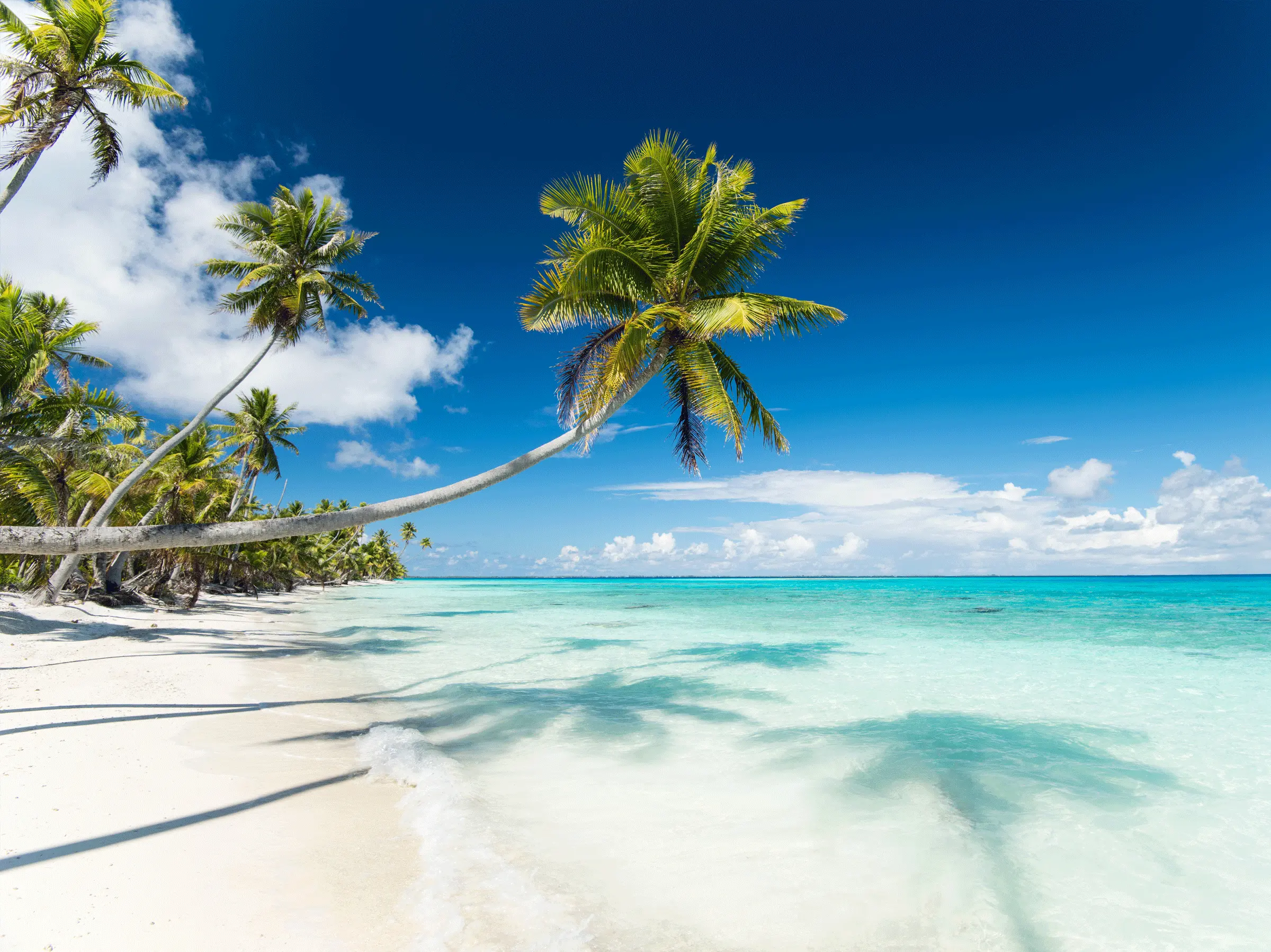 PK 9 Beach