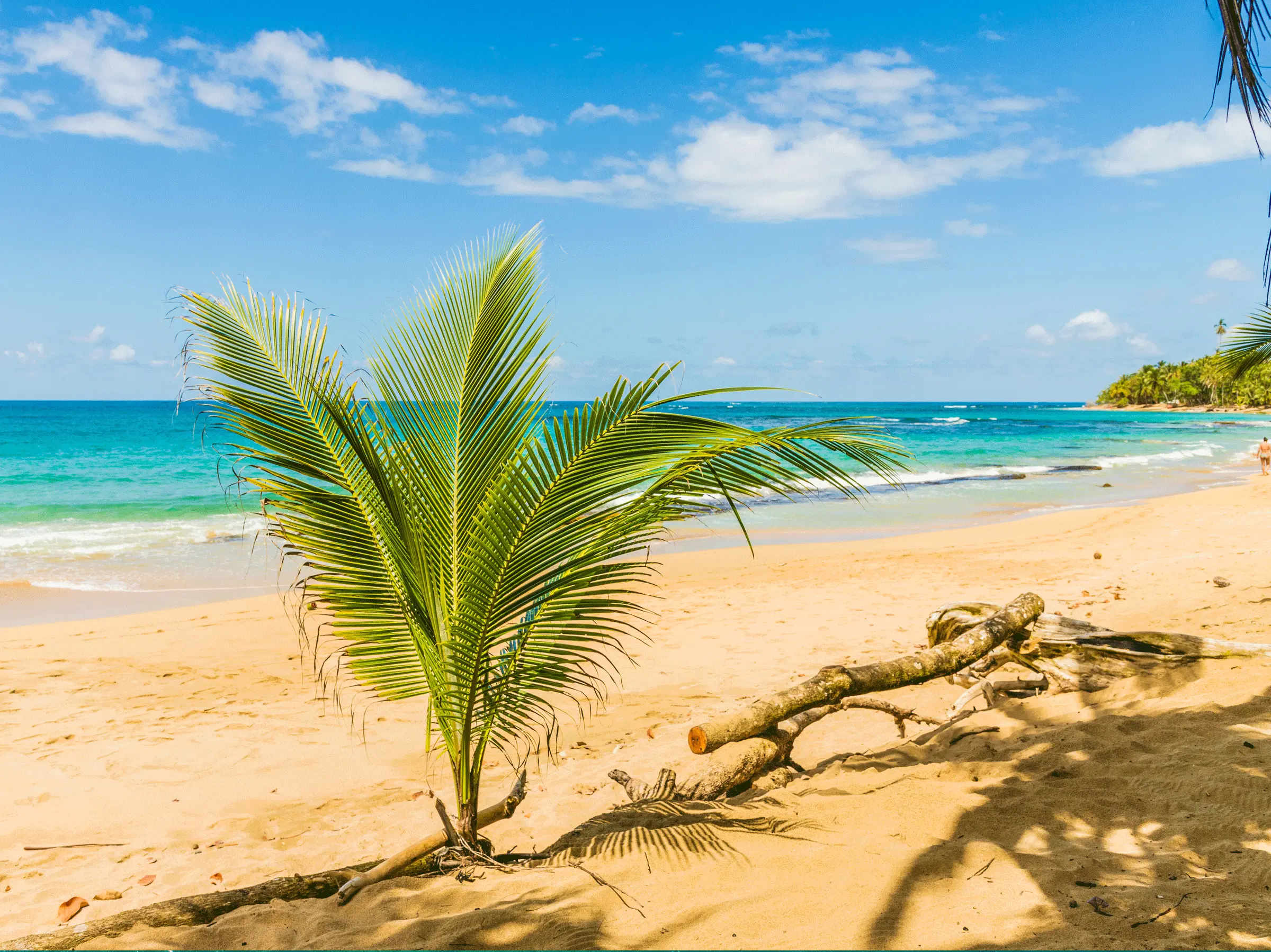 Playa Punta Uva